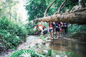 BIB: 
                            <button type="button" onclick="openModal(25463158)" class="btn btn-primary btn-sm float-right btn-popup" data-toggle="modal" data-target=".modal-high-quality">
                        <i class="fas fa-shopping-cart"></i> Add to Cart
                    </button>
                                            <button type="button" onclick="isThisMe(25463158, true)" class="btn btn-success btn-sm float-right btn-popup btn-isme hidden" data-toggle="tooltip" data-placement="bottom" title="นี่คือรูปของคุณใช่ไหม คลิกที่นี่เพื่อเอาเข้าอัลบั้ม">
                        <i class="fas fa-plus"></i> Add to album
                    </button>
                    <button type="button" onclick="isThisMe(25463158, false)" class="btn btn-warning btn-sm float-right btn-popup btn-isnotme hidden">
                        <i class="fas fa-ban"></i> Remove from album
                    </button>